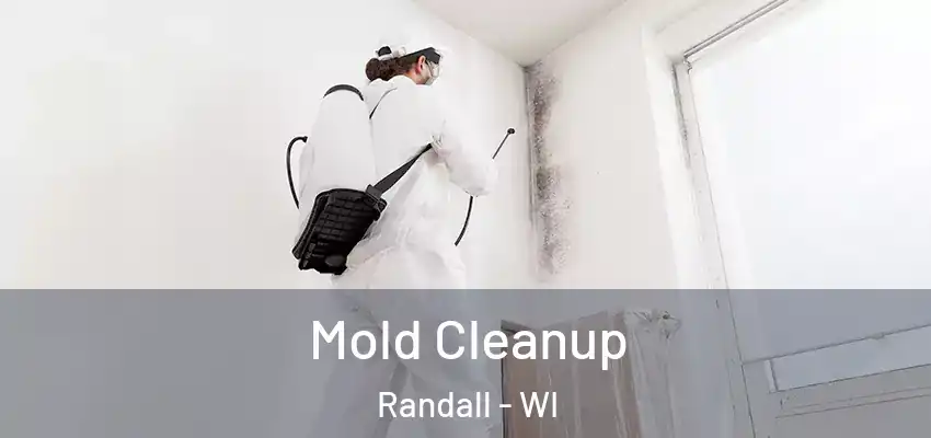  Mold Cleanup Randall - WI