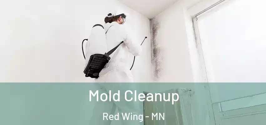  Mold Cleanup Red Wing - MN
