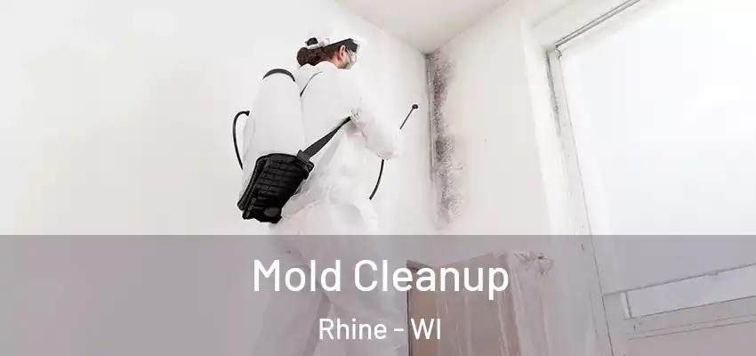 Mold Cleanup Rhine - WI