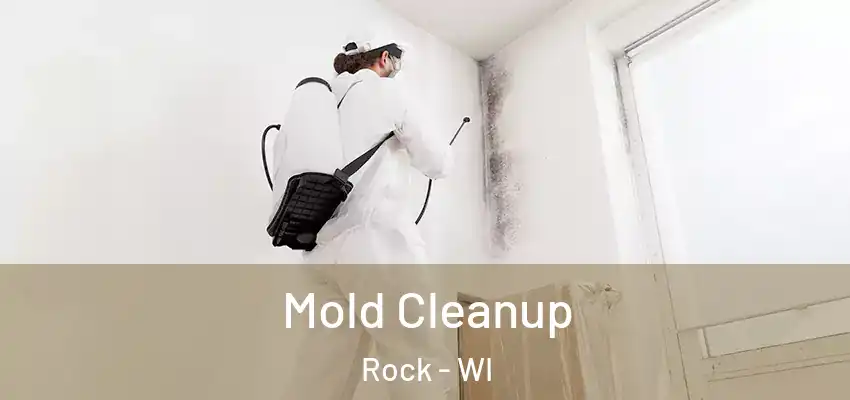  Mold Cleanup Rock - WI