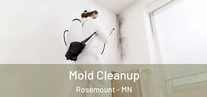  Mold Cleanup Rosemount - MN