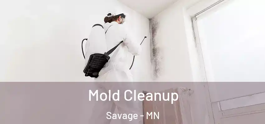 Mold Cleanup Savage - MN