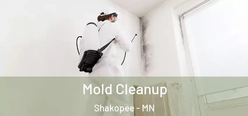 Mold Cleanup Shakopee - MN