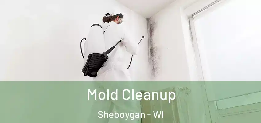 Mold Cleanup Sheboygan - WI