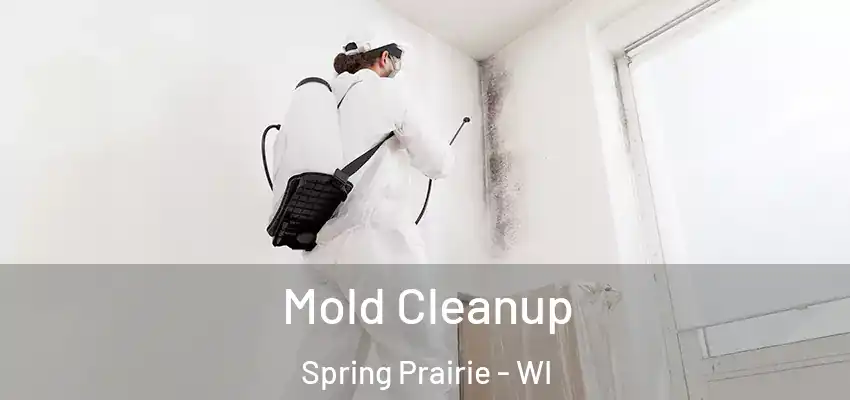 Mold Cleanup Spring Prairie - WI