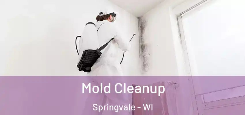  Mold Cleanup Springvale - WI