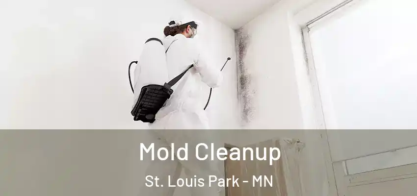  Mold Cleanup St. Louis Park - MN