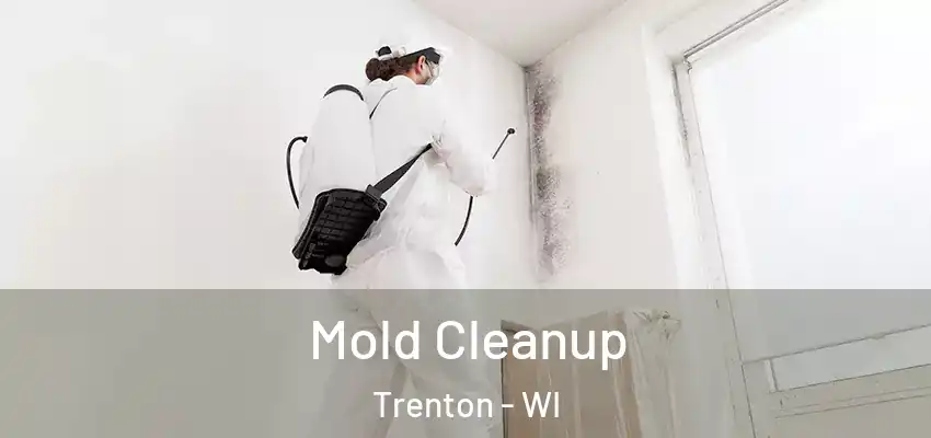  Mold Cleanup Trenton - WI