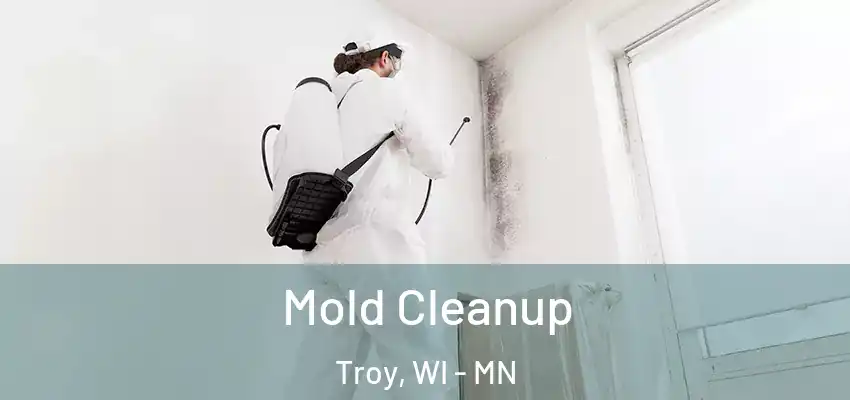 Mold Cleanup Troy, WI - MN