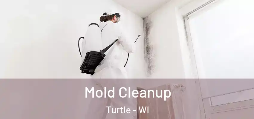  Mold Cleanup Turtle - WI