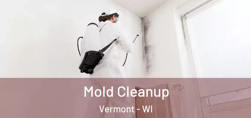  Mold Cleanup Vermont - WI