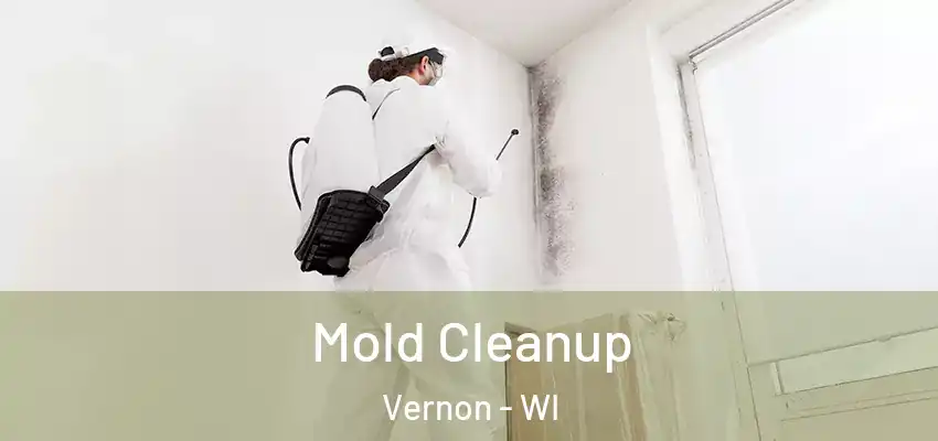 Mold Cleanup Vernon - WI