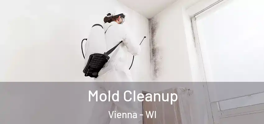 Mold Cleanup Vienna - WI