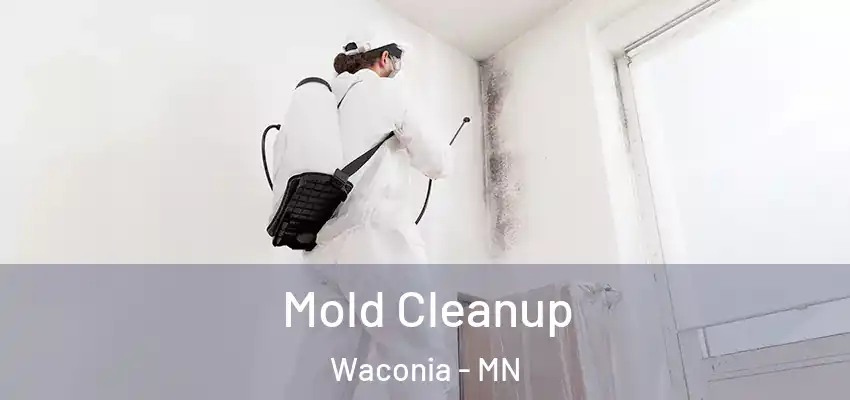 Mold Cleanup Waconia - MN