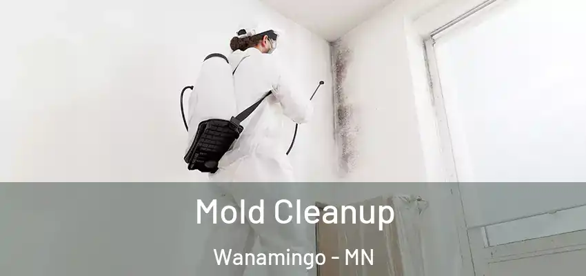 Mold Cleanup Wanamingo - MN