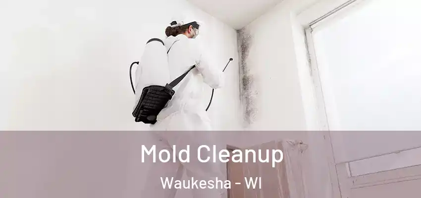  Mold Cleanup Waukesha - WI
