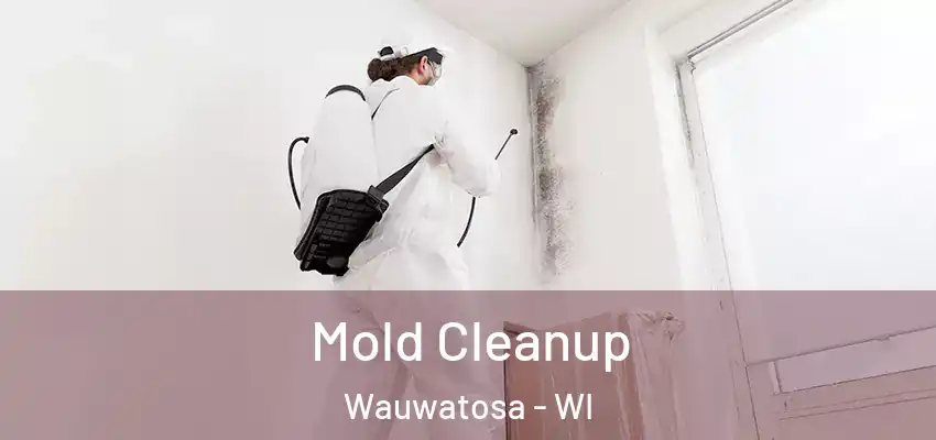  Mold Cleanup Wauwatosa - WI
