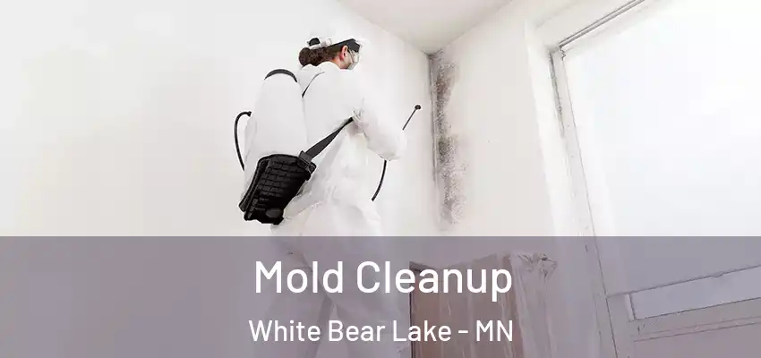  Mold Cleanup White Bear Lake - MN