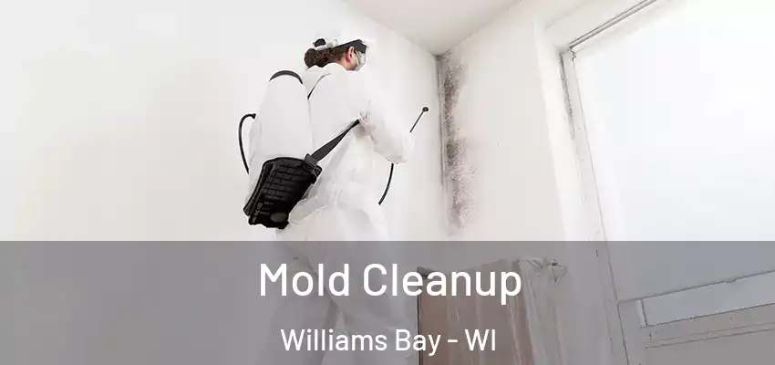  Mold Cleanup Williams Bay - WI
