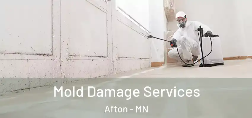  Mold Damage Services Afton - MN