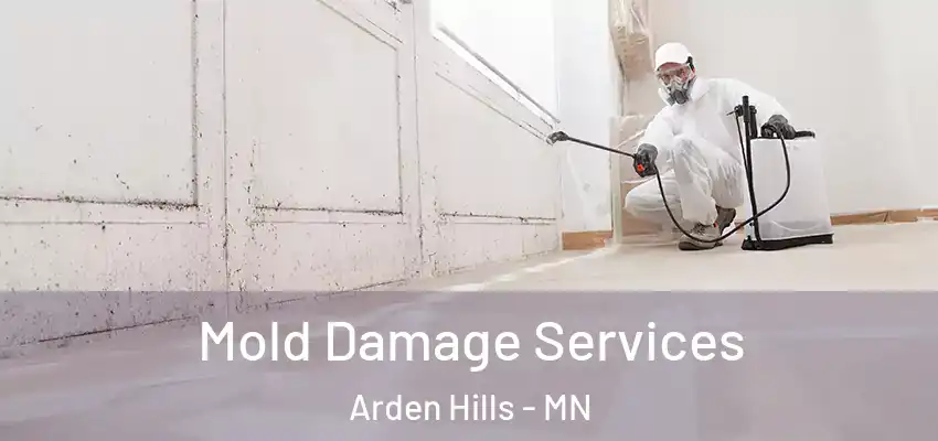 Mold Damage Services Arden Hills - MN
