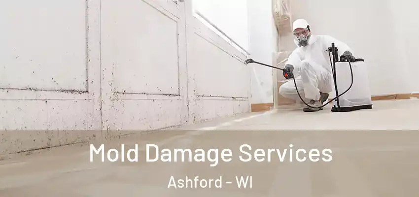 Mold Damage Services Ashford - WI