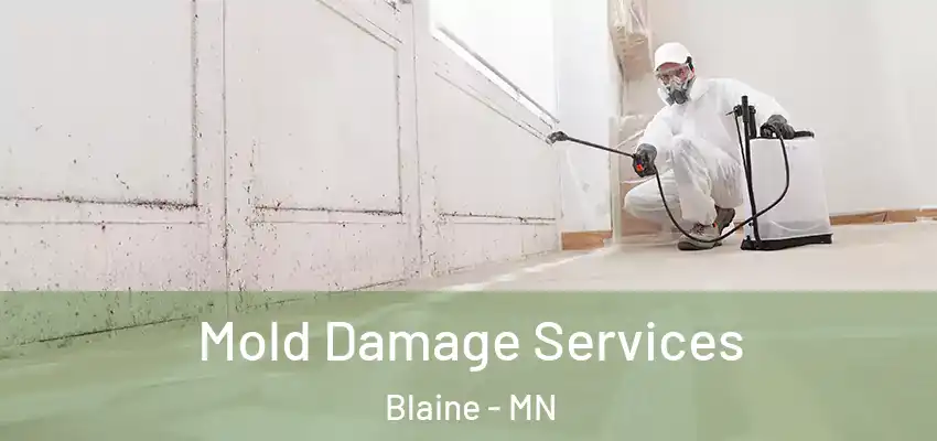 Mold Damage Services Blaine - MN