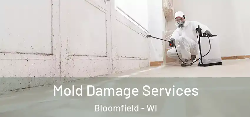  Mold Damage Services Bloomfield - WI