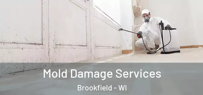  Mold Damage Services Brookfield - WI