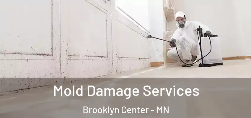  Mold Damage Services Brooklyn Center - MN