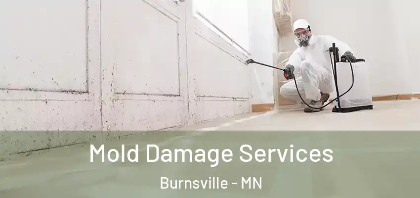  Mold Damage Services Burnsville - MN