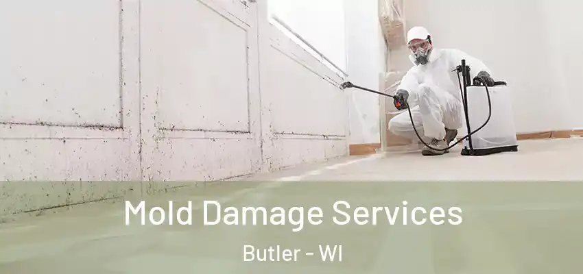 Mold Damage Services Butler - WI