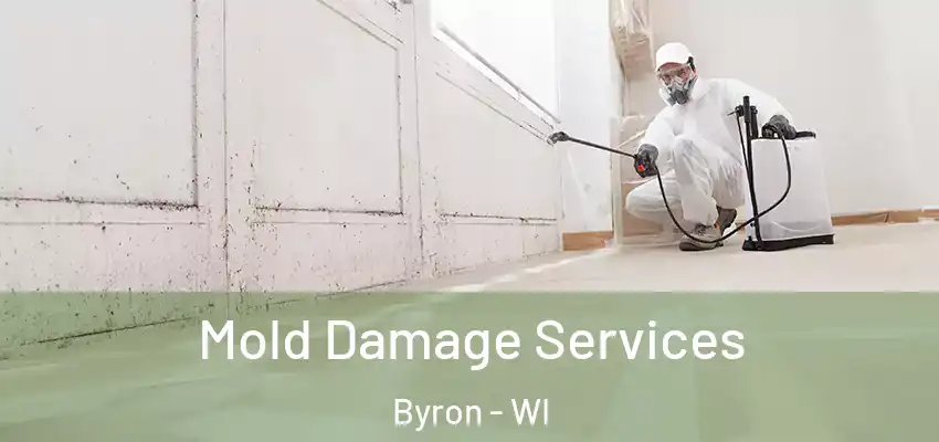  Mold Damage Services Byron - WI