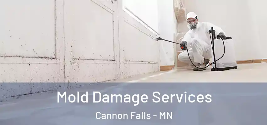  Mold Damage Services Cannon Falls - MN