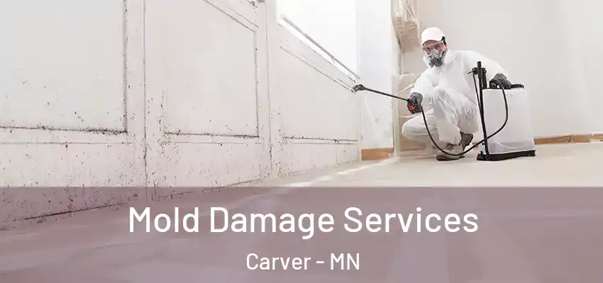 Mold Damage Services Carver - MN