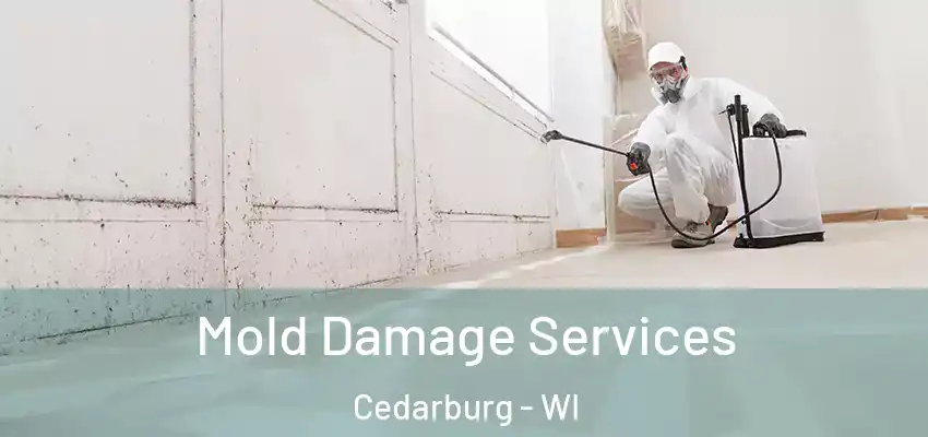  Mold Damage Services Cedarburg - WI