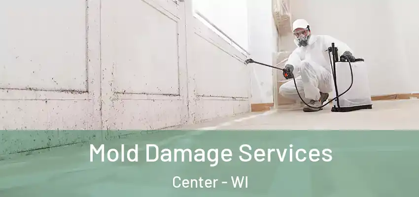  Mold Damage Services Center - WI