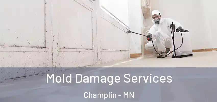  Mold Damage Services Champlin - MN