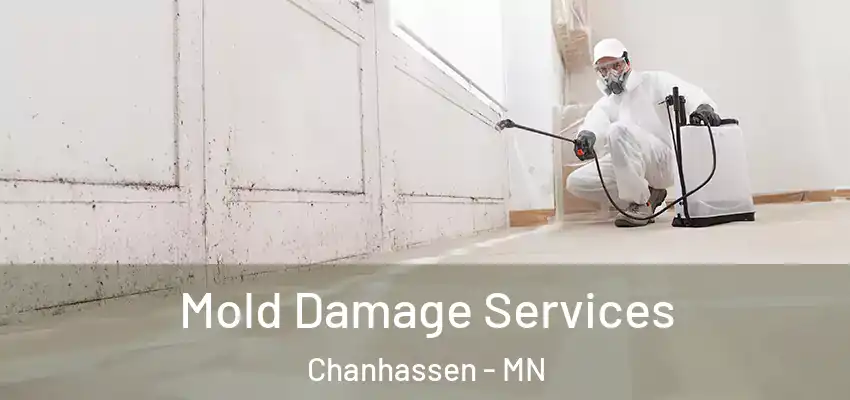  Mold Damage Services Chanhassen - MN