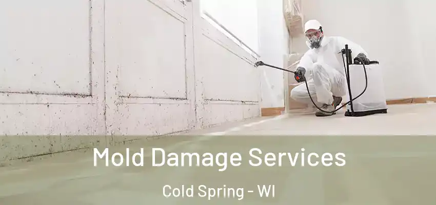  Mold Damage Services Cold Spring - WI