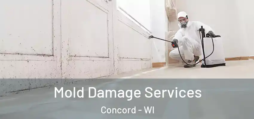  Mold Damage Services Concord - WI