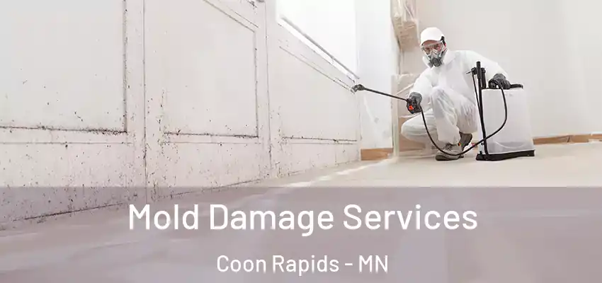  Mold Damage Services Coon Rapids - MN