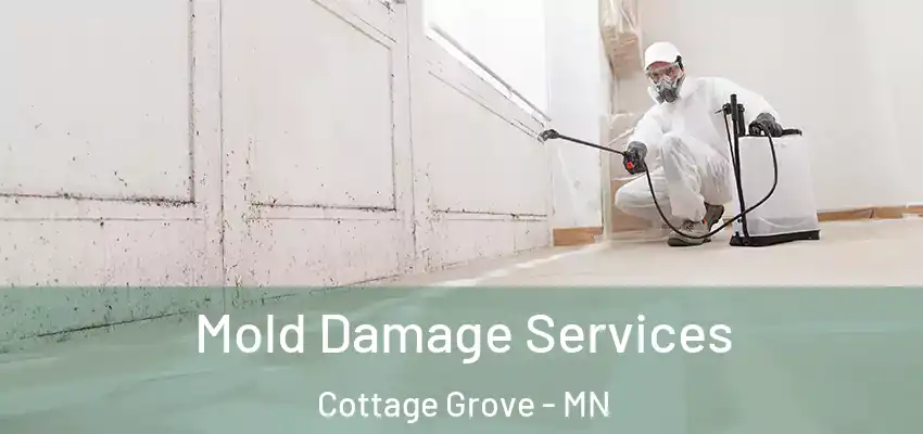  Mold Damage Services Cottage Grove - MN