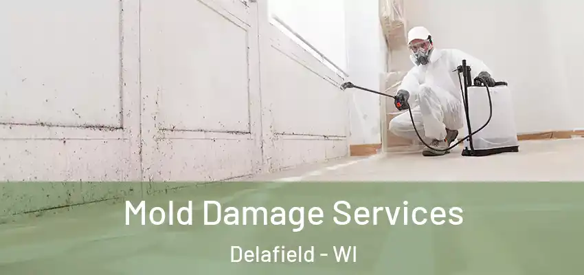  Mold Damage Services Delafield - WI