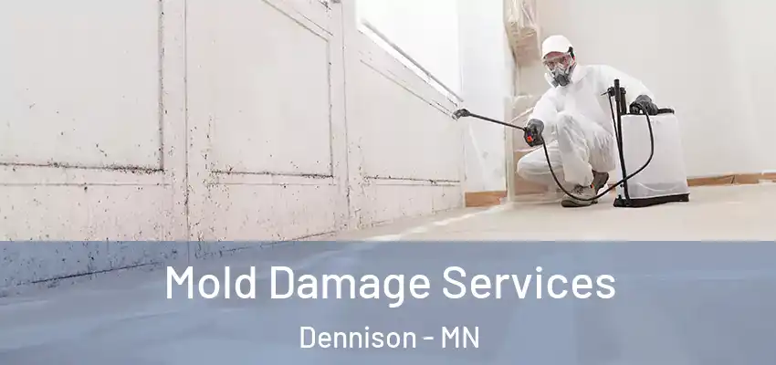  Mold Damage Services Dennison - MN
