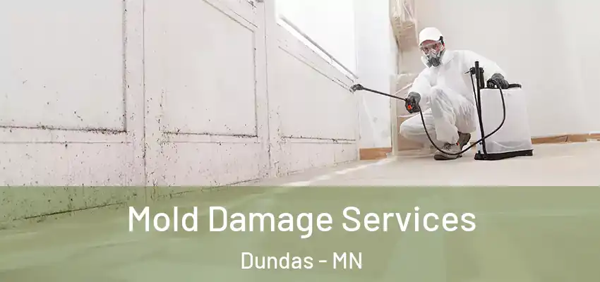 Mold Damage Services Dundas - MN