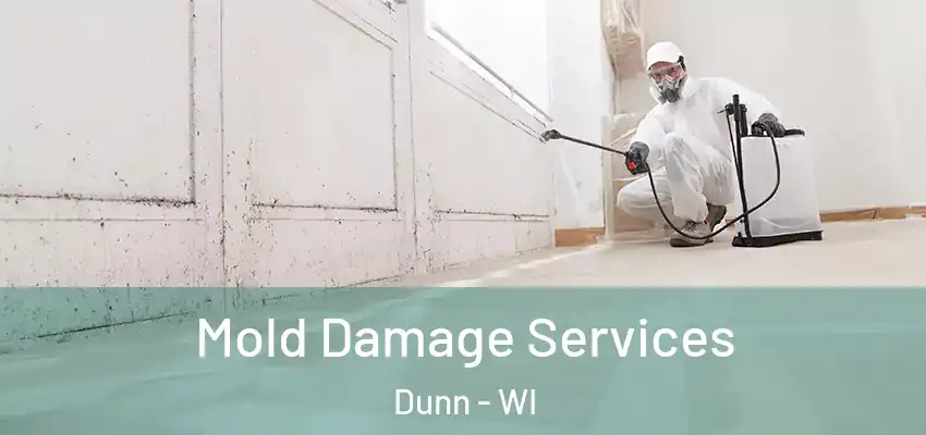  Mold Damage Services Dunn - WI