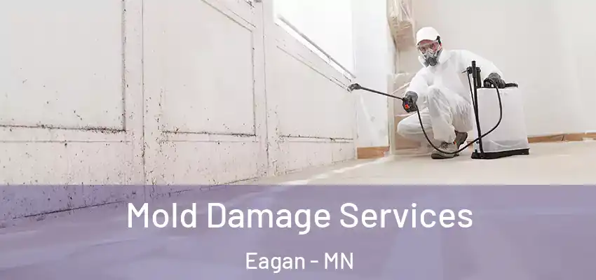  Mold Damage Services Eagan - MN