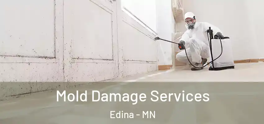  Mold Damage Services Edina - MN