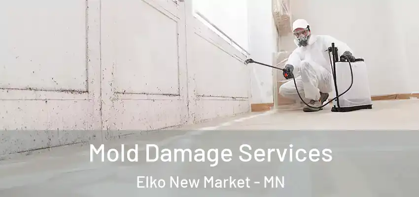  Mold Damage Services Elko New Market - MN